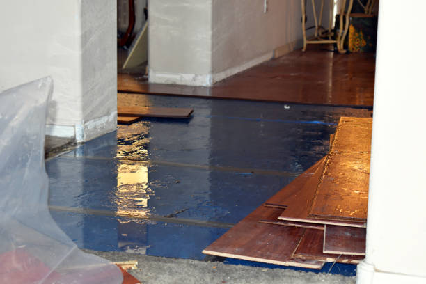 Professional Basement Flood Cleanup technician working in Dumas, TX